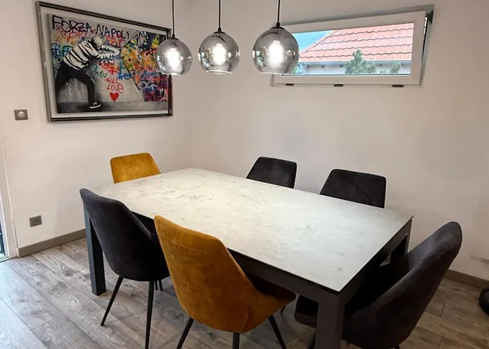 Maison Familiale Avec Piscine Privative Sélestat